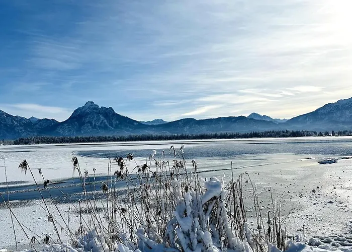 Apartment Klein Aber Fein *